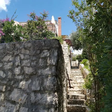 Max Trogir