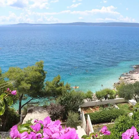 Max Daire Trogir